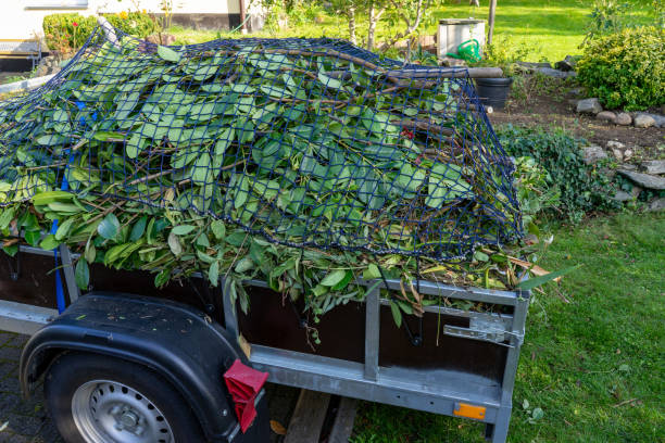 Best Commercial Junk Removal  in Chapel Hill, TN